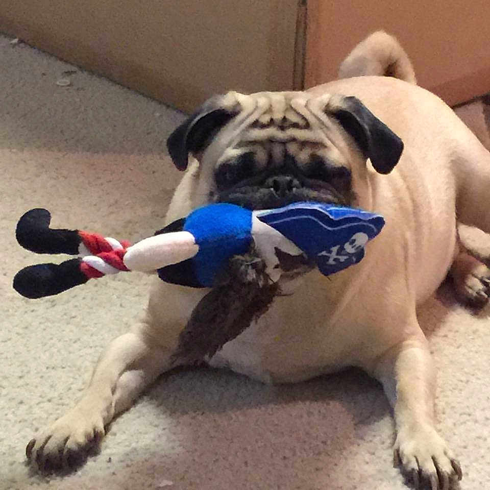 Diesel is registered to the contest to win money with this photo: