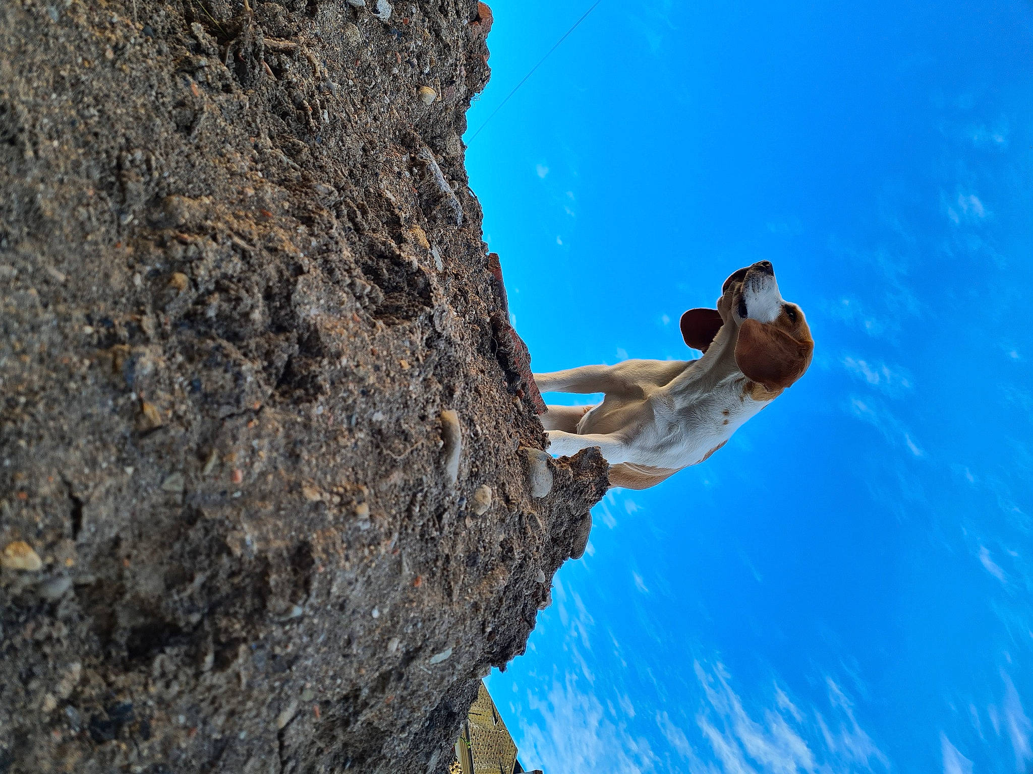 Riley participe au concours pour gagner de l'argent avec cette photo : adventure, bedrock, climbing, electric_blue, escarpment, fault, formation, fun, klippe, leisure, mountaineer, outcrop, recreation, rock, sky, terrain, tree, trunk, water, wood