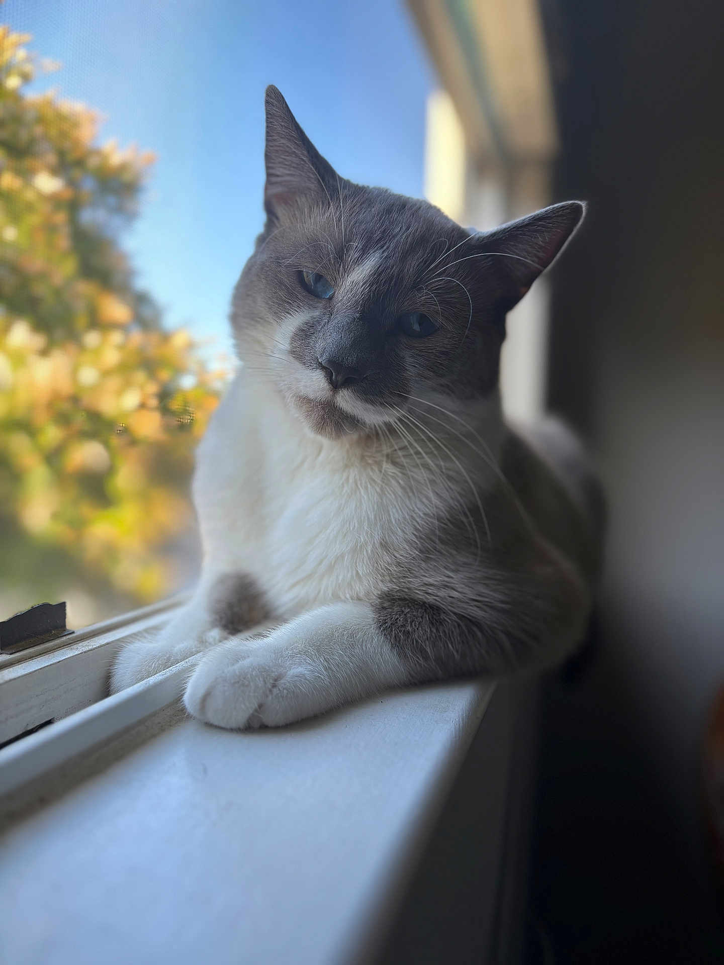 Smokey