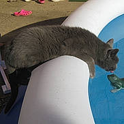 Bébé participe au concours pour gagner de l'argent avec cette photo :