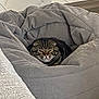 cat, tabby_cat, pet, beanbag, blanket, indoor, tile_floor, cozy, curled_up, sleepy, round, stripes, whiskers, fur, face, resting, furniture, home, gray, cute