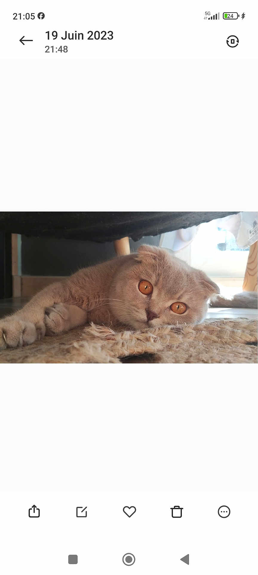 Simba