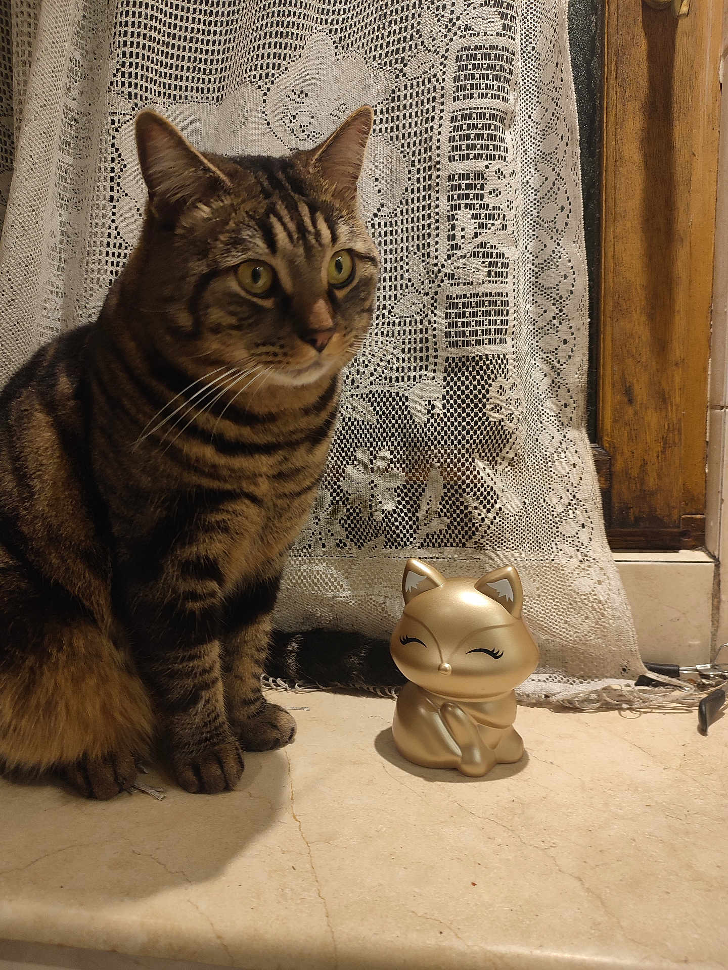 Minouche participe au concours pour gagner de l'argent avec cette photo : tabby_cat, cat, figurine, golden_cat, lace_curtain, marble_surface, wooden_frame, indoor, pet, animal, curious, sitting, decor, closeup, whiskers, patterned_fur, domestic_cat, household, still_life, cute