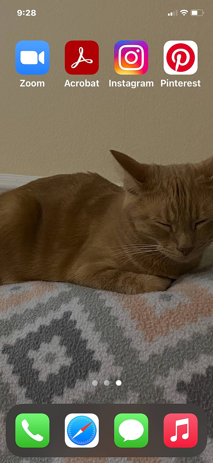 Louis joined the competition — help win amazing prizes! carnivore, cat, cat_supply, comfort, domestic_short_haired_cat, fawn, felidae, font, fur, grey, internet_meme, paw, photo_caption, russian_blue, small_to_medium_sized_cats, snout, tail, terrestrial_animal, whiskers, wildlife