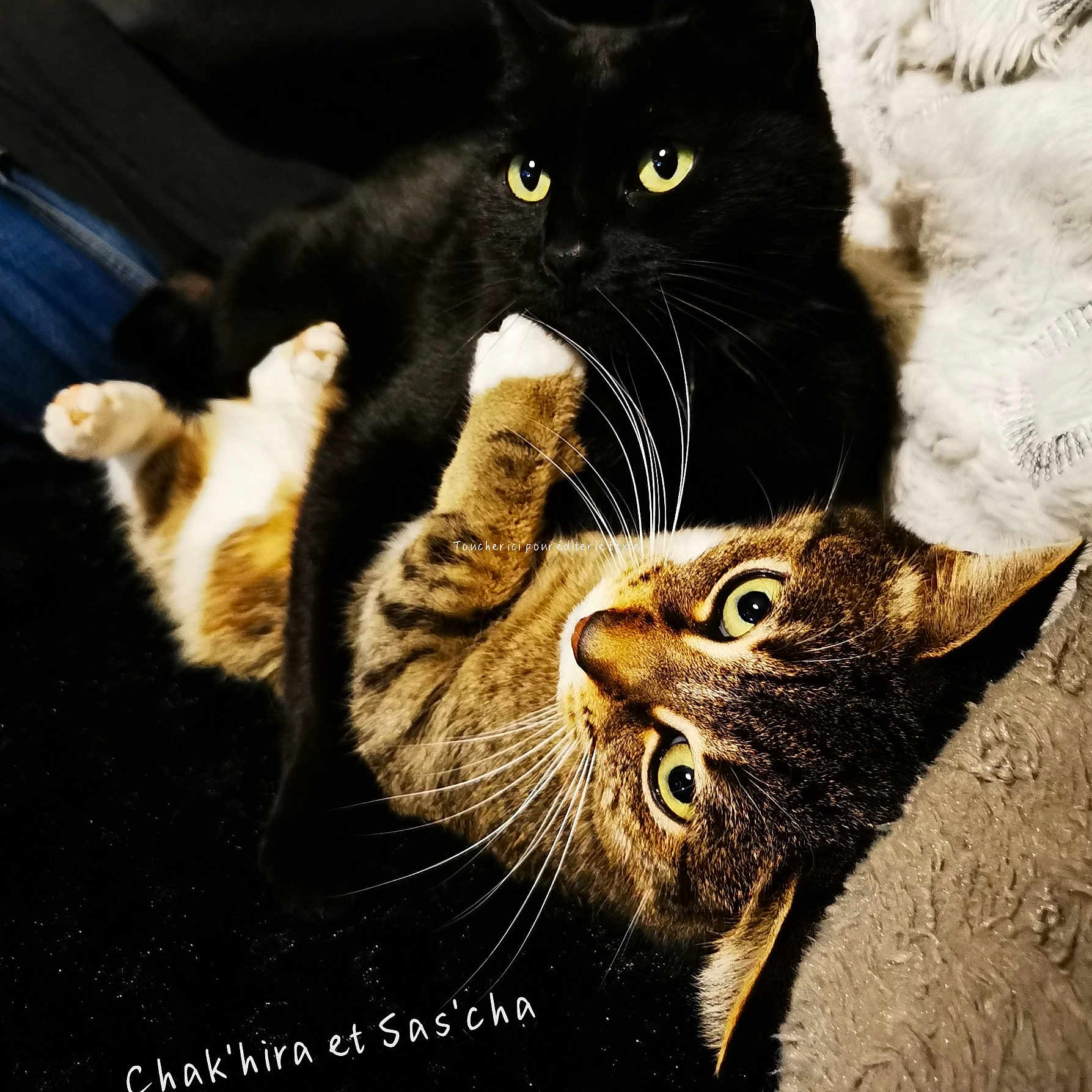 Chak'Hira Et Sas'Cha