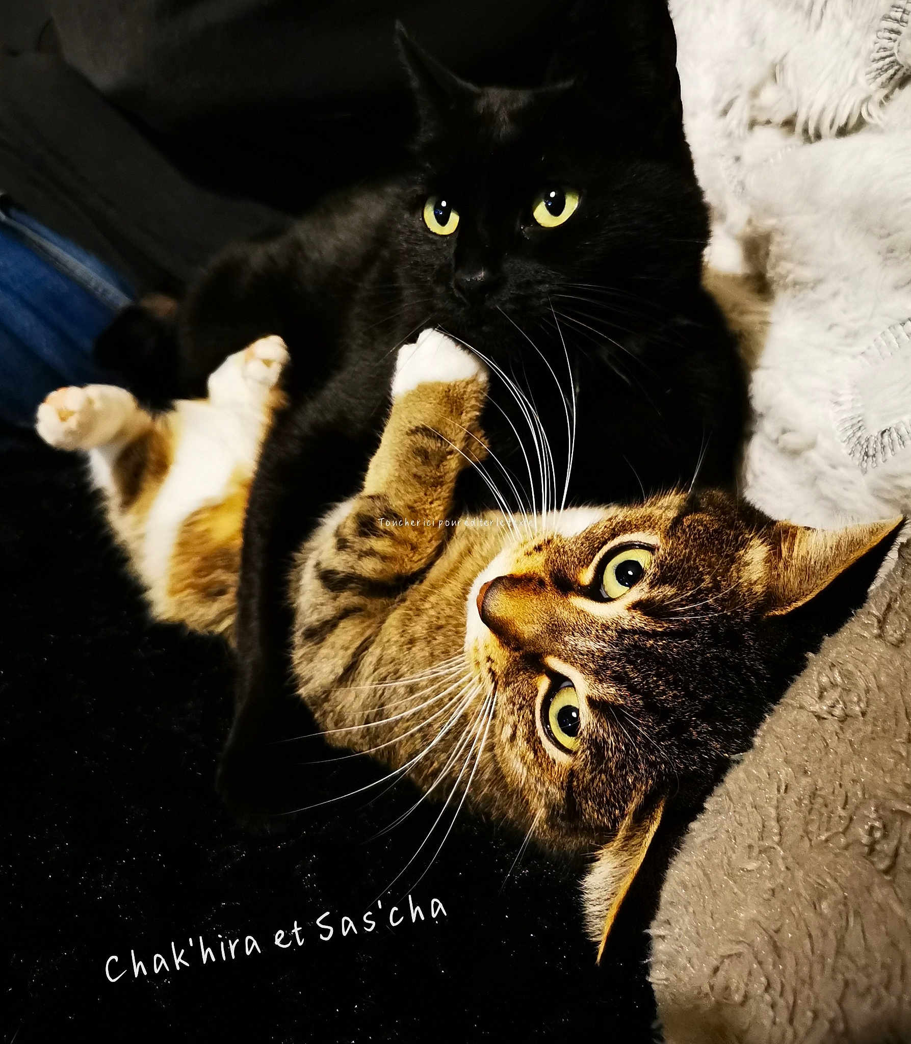 Chak'Hira Et Sas'Cha