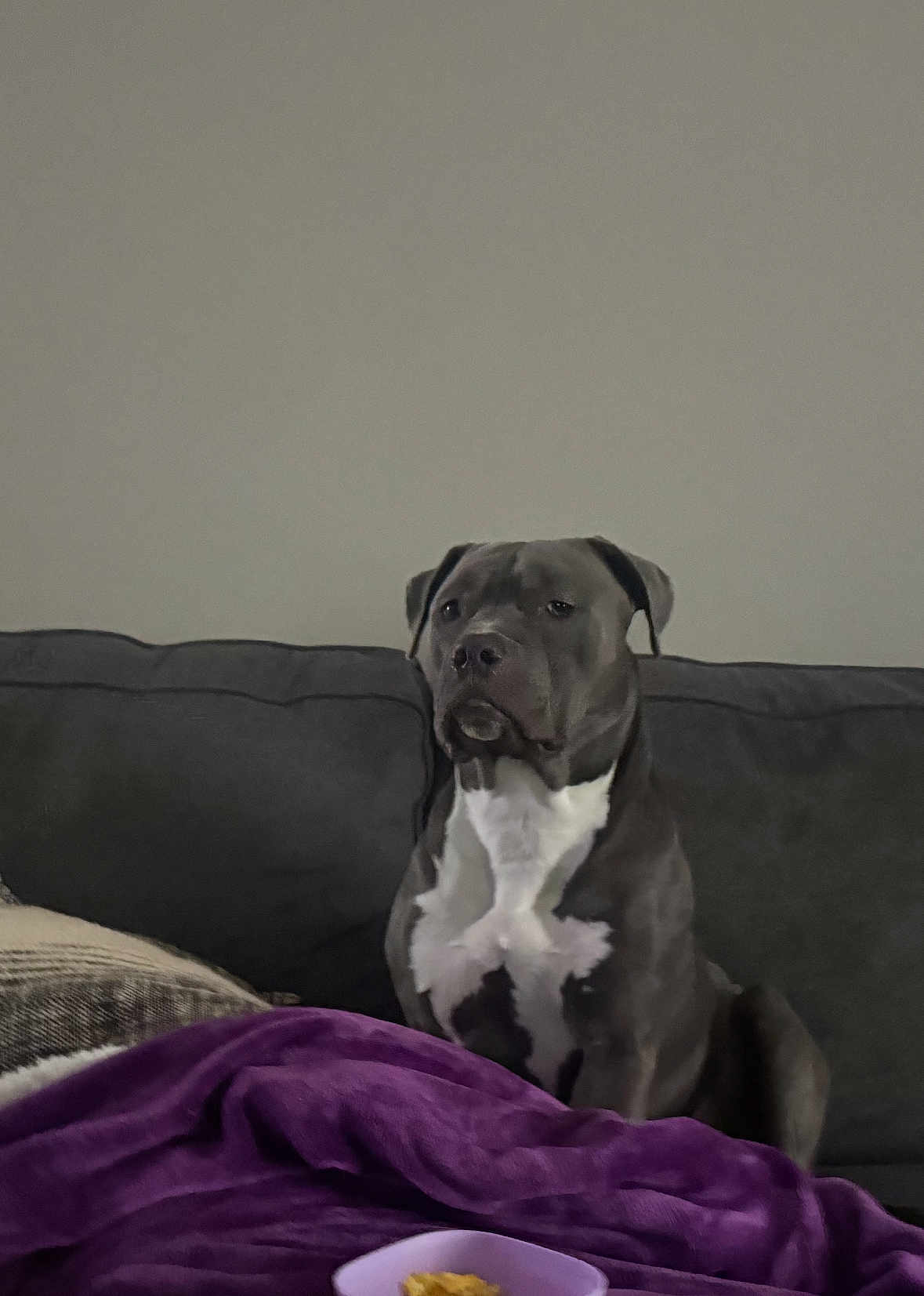 Bruno