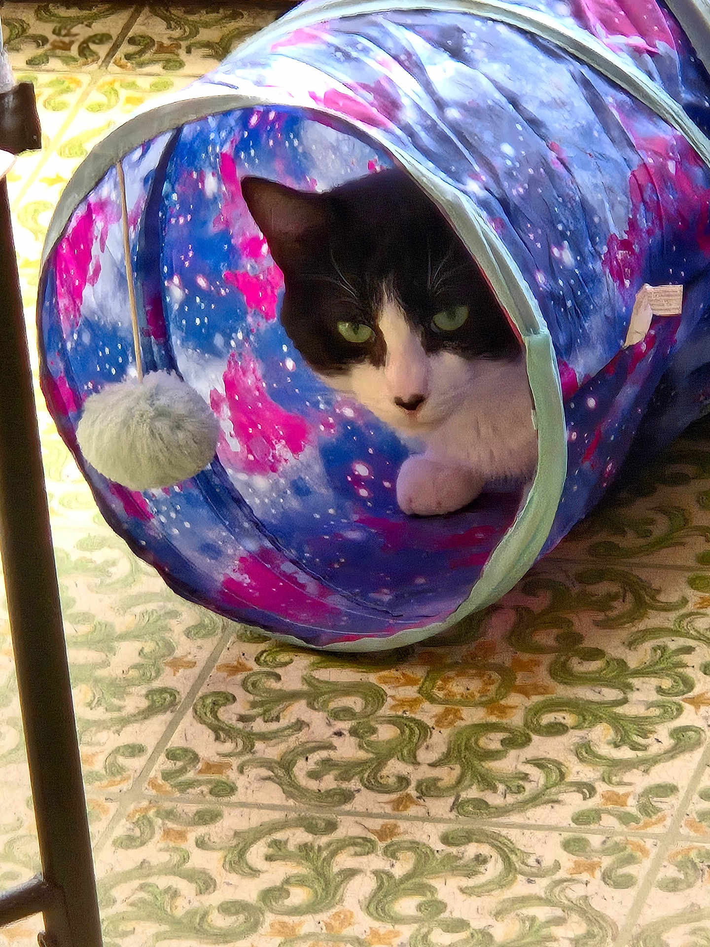 Oreo