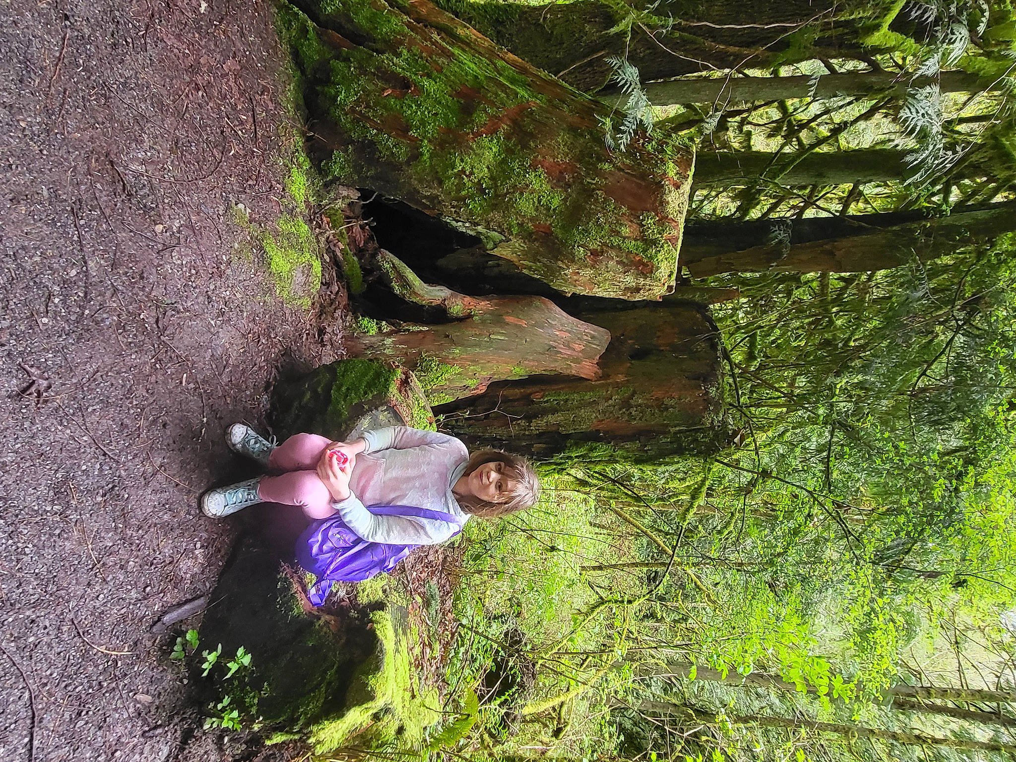 Liliana joined the competition — help win amazing prizes! adventure, bedrock, branch, forest, grass, groundcover, joy, landscape, leisure, natural_environment, natural_landscape, people_in_nature, person, plant, recreation, rock, smile, terrestrial_plant, tree, trunk