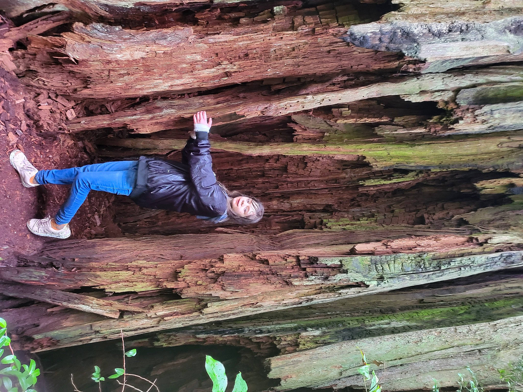 Liliana is registered to the contest to win money with this photo: adventure, bedrock, brick, brickwork, climbing, fault, formation, geology, green, landscape, leisure, outcrop, person, recreation, rock, rock_climbing_equipment, soil, sport_climbing, trunk, wall