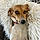 Ester Edith Beagle