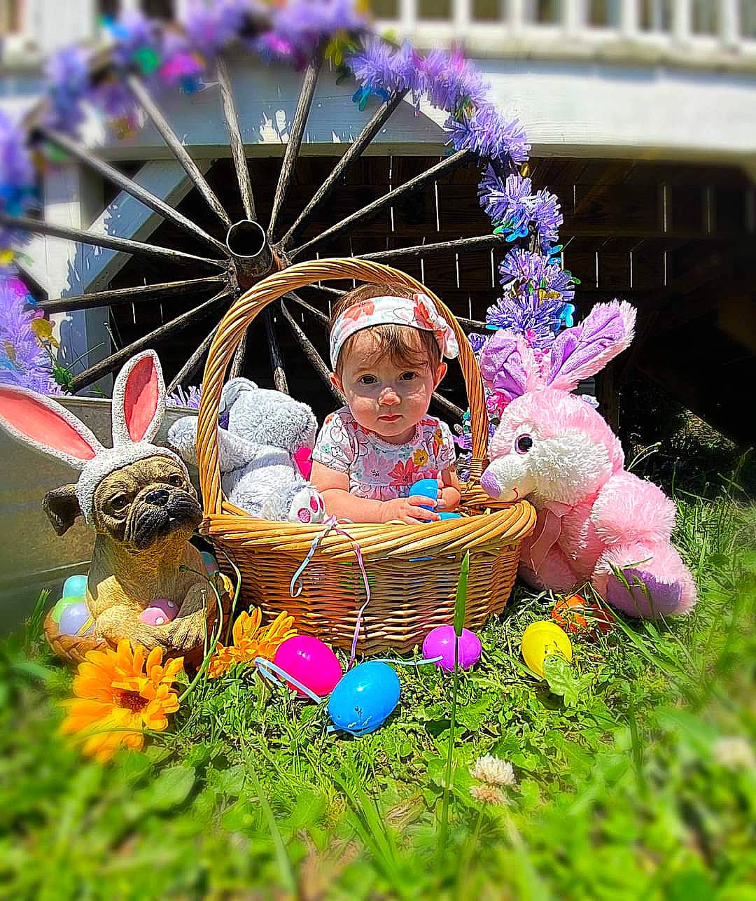 Miraclegrace is registered to the contest to win money with this photo: automotive_wheel_system, basket, botany, easter, easter_bunny, event, flower, fun, grass, happy, leisure, mammal, organism, party_supply, person, photograph, plant, rabbit, snapshot, toy