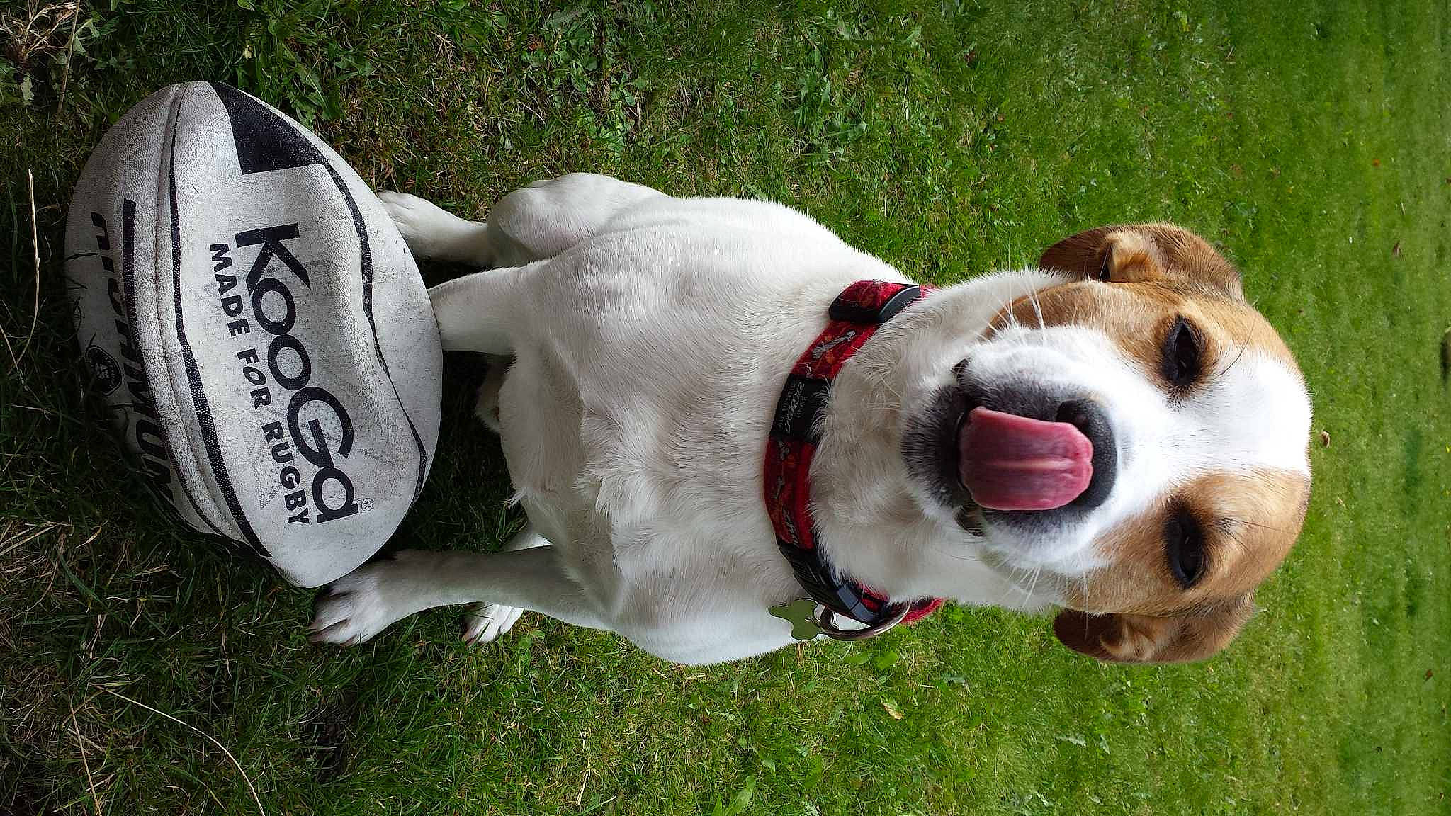 Patch joined the competition — help win amazing prizes!