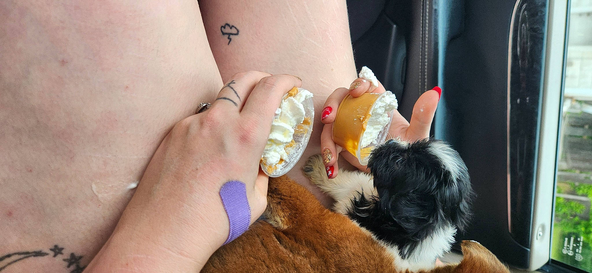 Minnie joined the competition — help win amazing prizes! carnivore, child, comfort_food, companion_dog, dog, dog_breed, fashion_accessory, felidae, finger, finger_food, food_craving, fur, gesture, human_leg, junk_food, nail, stuffed_toy, thumb, toy, wrist