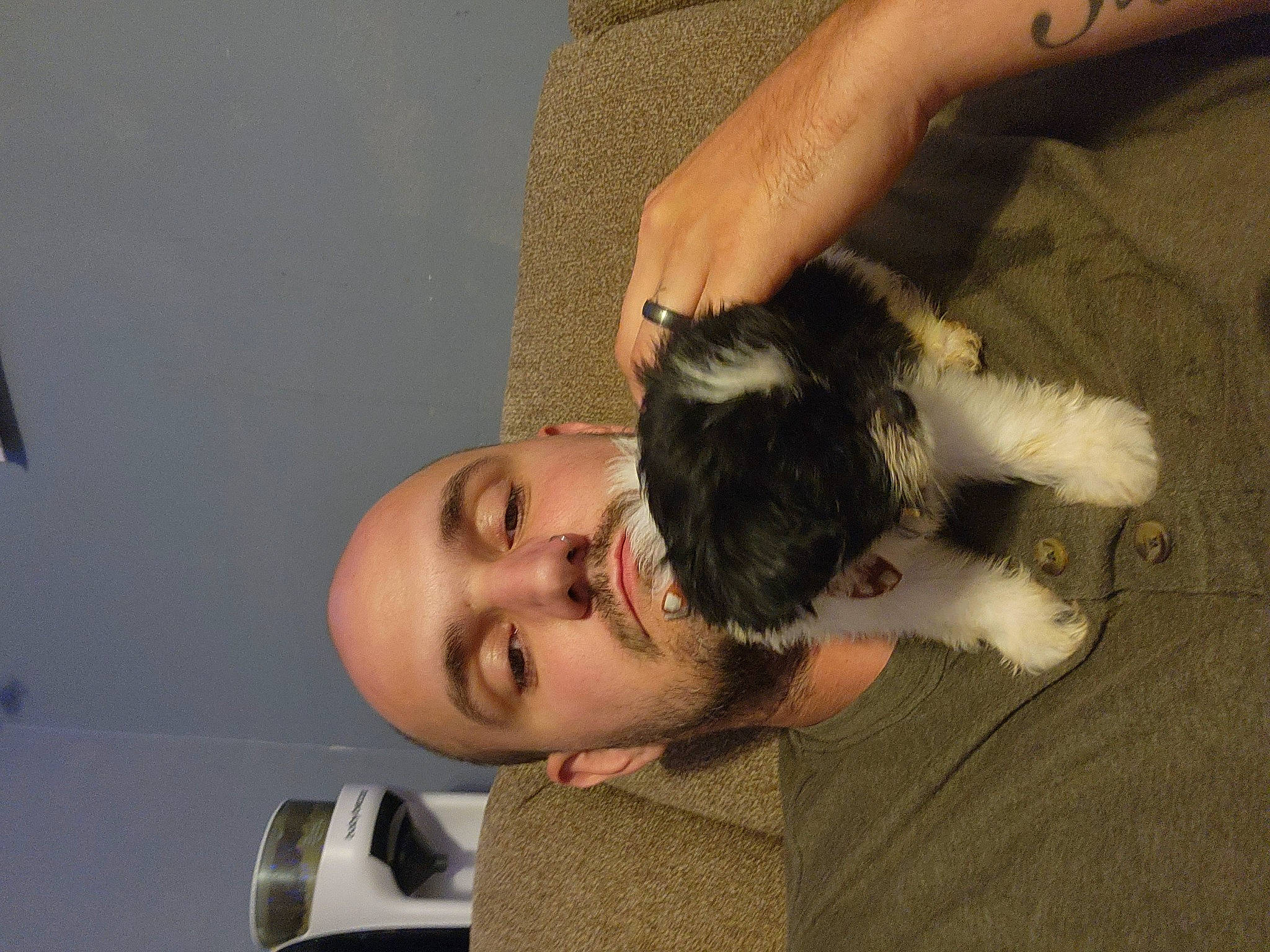 Minnie joined the competition — help win amazing prizes! beard, canidae, chest, child, companion_dog, dog_breed, elbow, eyelash, eyewear, facial_hair, felidae, fun, fur, gesture, paw, small_to_medium_sized_cats, sunglasses, tail, tree, whiskers