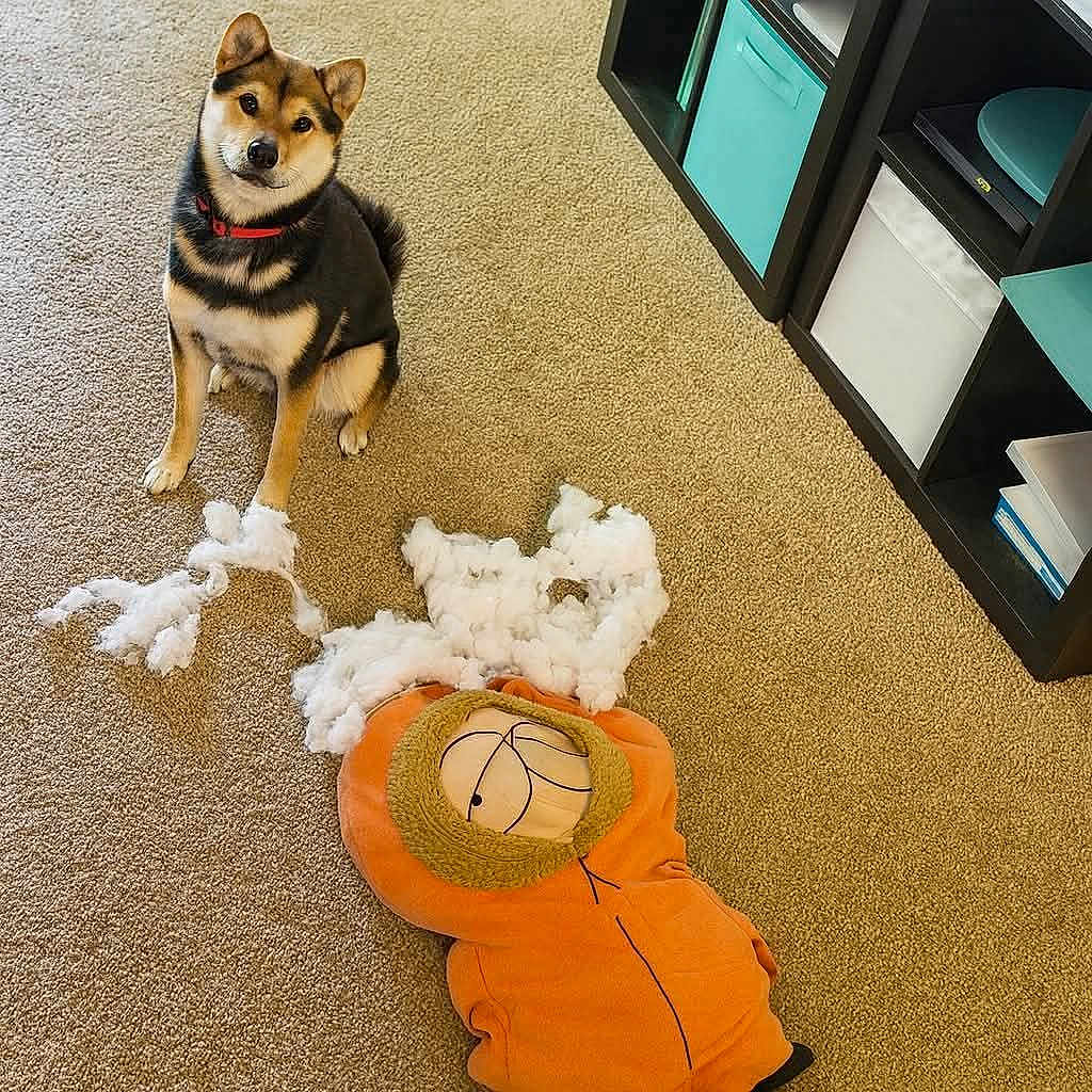 Cartman