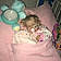 Eve Mae