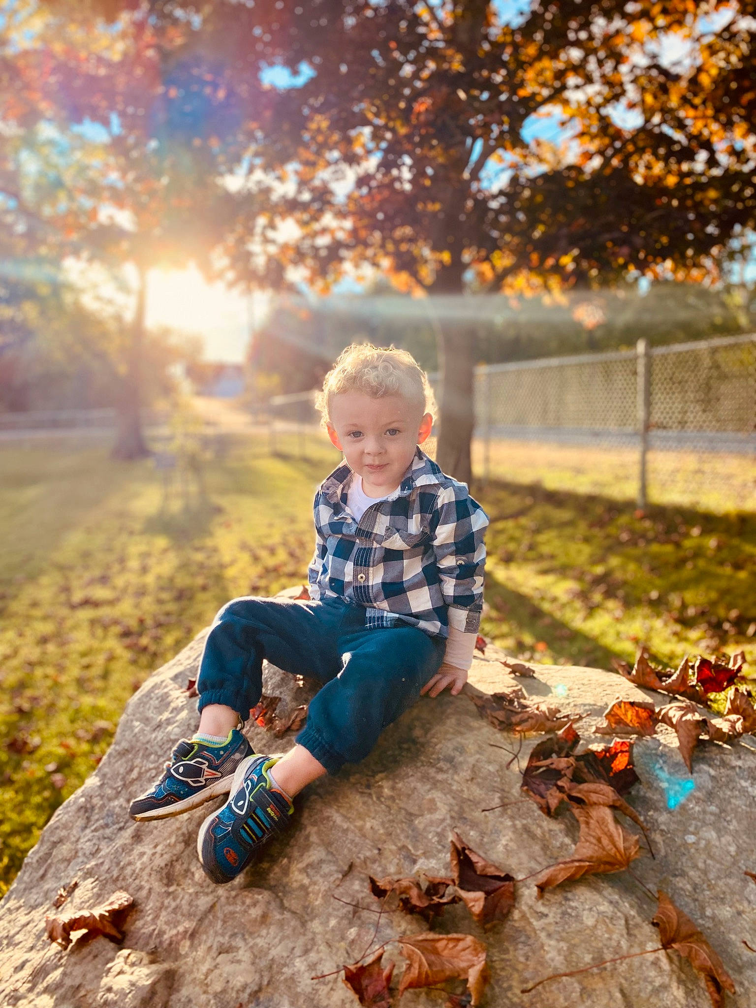 Benjamin joined the competition — help win amazing prizes! branch, deciduous, eye, forest, grass, happy, landscape, leaf, leisure, morning, orange, people_in_nature, person, plant, recreation, sunlight, tints_and_shades, toddler, tree, wood