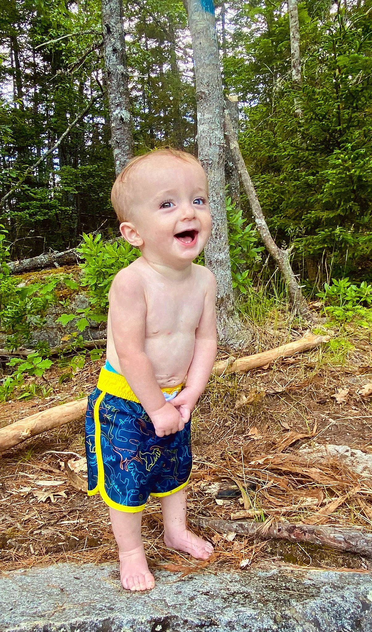 Nikolas joined the competition — help win amazing prizes! baby, barechested, barefoot, board_short, child, electric_blue, foot, forest, fun, garden, grass, happy, leaf, leisure, people_in_nature, person, plant, smile, toddler, tree