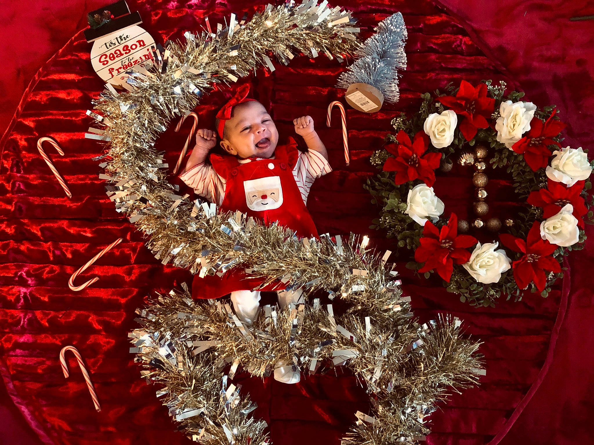 Xiomara joined the competition — help win amazing prizes! artificial_flower, bouquet, christmas, christmas_decoration, christmas_eve, christmas_ornament, conifer, costume_accessory, cut_flowers, fictional_character, holiday, holiday_ornament, interior_design, ornament, person, red, rose, rose_family, rose_order, tradition