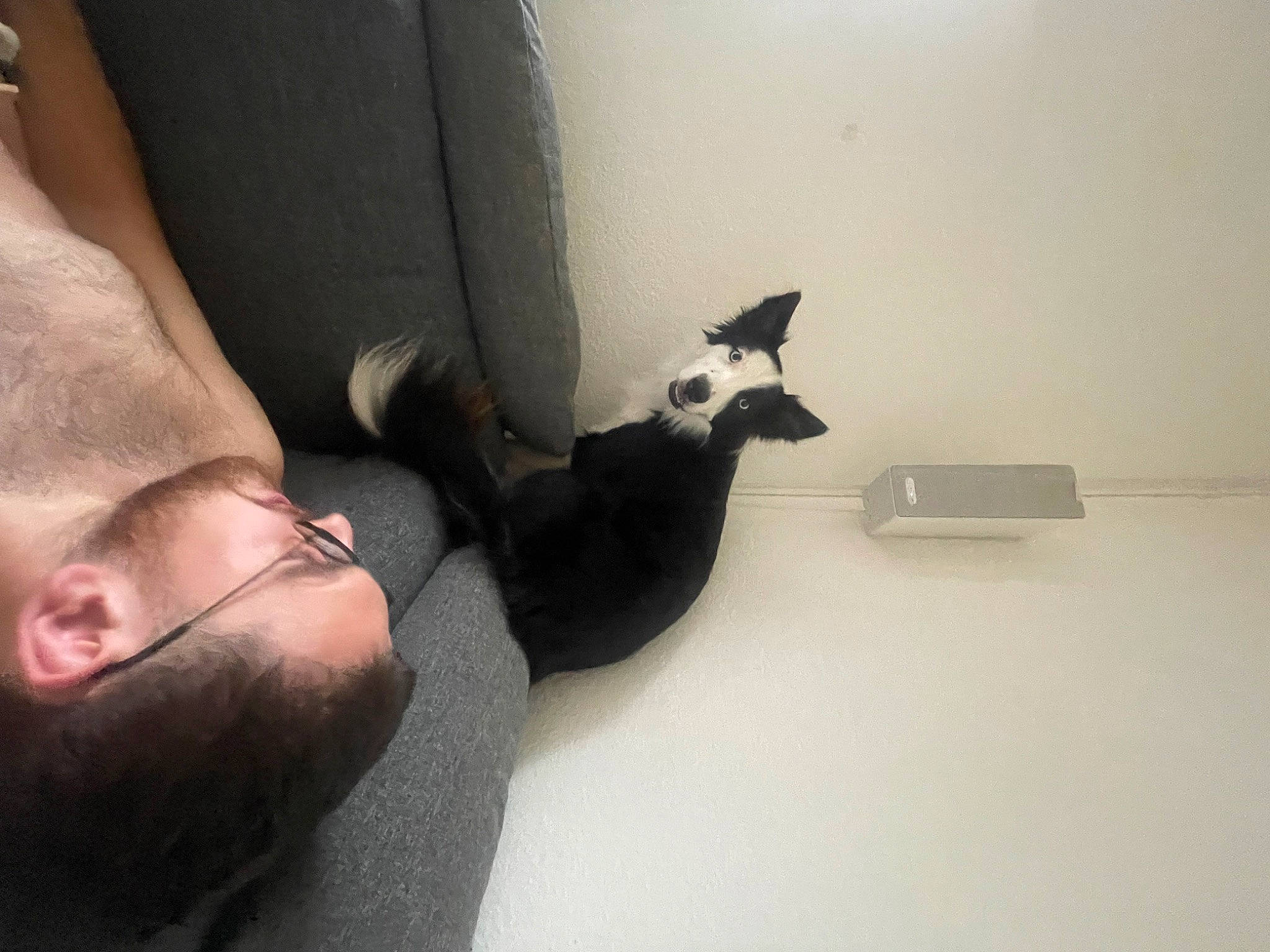 Lupo a rejoint le concours — aidez-le/la à gagner de superbes lots ! beard, carnivore, comfort, ear, elbow, eye, eyelash, felidae, finger, foot, gesture, glasses, grey, human_leg, jaw, knee, neck, thigh, whiskers, wrist