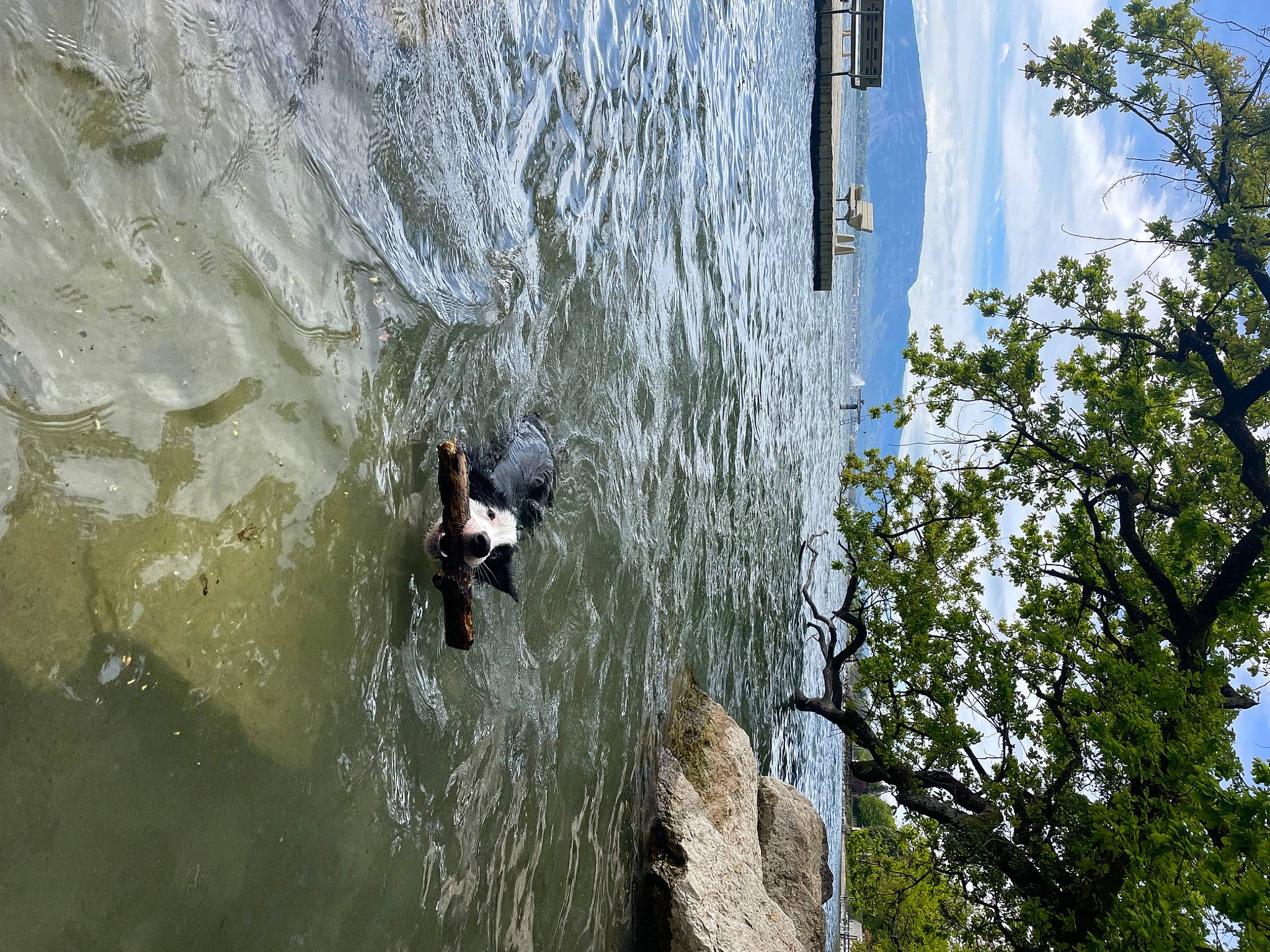 Lupo participe au concours pour gagner de l'argent avec cette photo : adventure, extreme_sport, fluid, formation, lake, plant, recreation, reflection, rock, sky, surfboard, surfing, tree, trunk, water, water_resources, watercourse, wave, wind_wave, wood