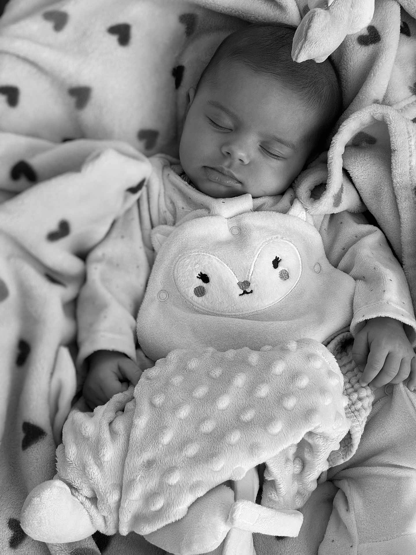Anna participe au concours pour gagner de l'argent avec cette photo : baby, sleeping, blanket, heart_pattern, cozy, soft_texture, cute_outfit, animal_face, infant, peaceful, resting, monochrome, child, hands, clothing, portrait, closeup, warm, comfort, toddler