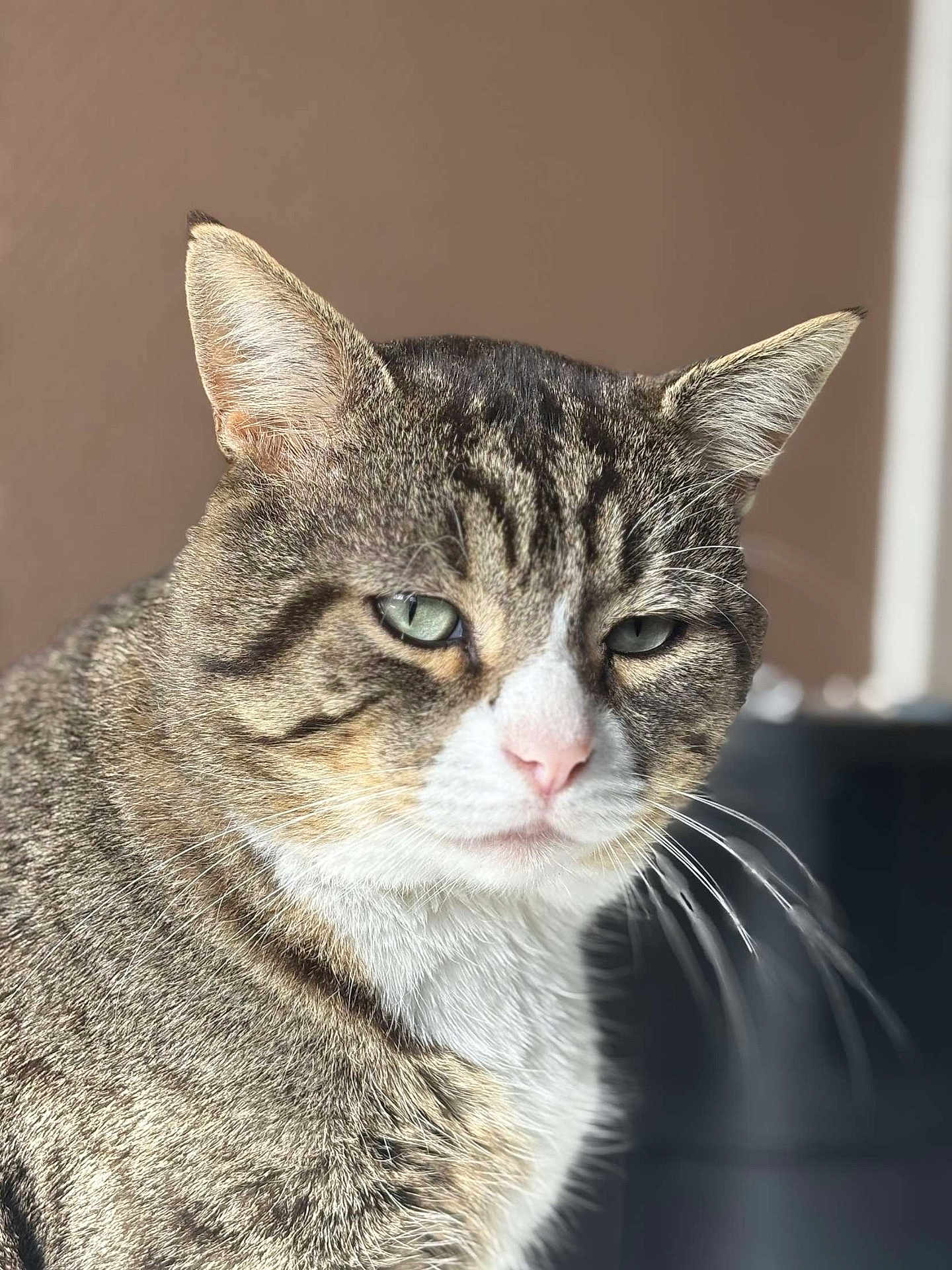Tigrou