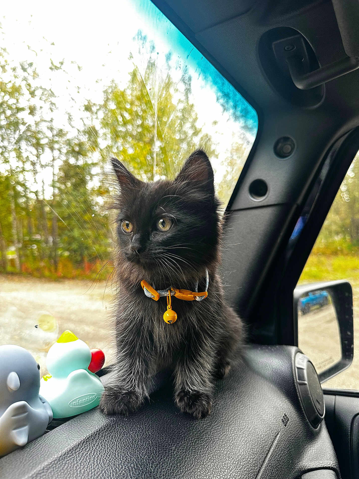 Boo