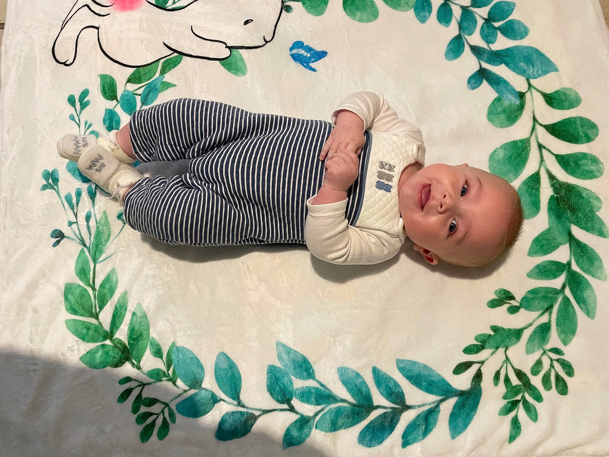 Lizio participe au concours pour gagner de l'argent avec cette photo : baby, baby_toddler_clothing, child, comfort, design, font, grass, green, happy, leaf, linens, mammal, pattern, person, plant, product, smile, textile, toddler, vertebrate