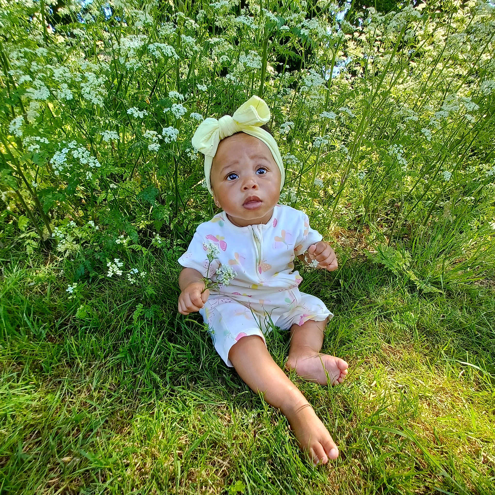 Talia-Rose is registered to the contest to win money with this photo: baby, clothing, dress, face, field, flower, grass, grassland, green, hat, head, herbal, herbs, person, photography, plant, portrait, sitting, summer, vegetation