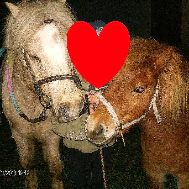Dora et Miracle