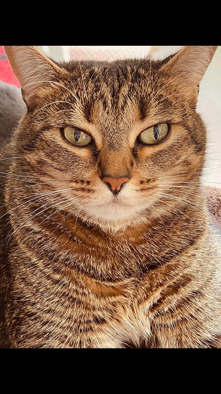Julie
