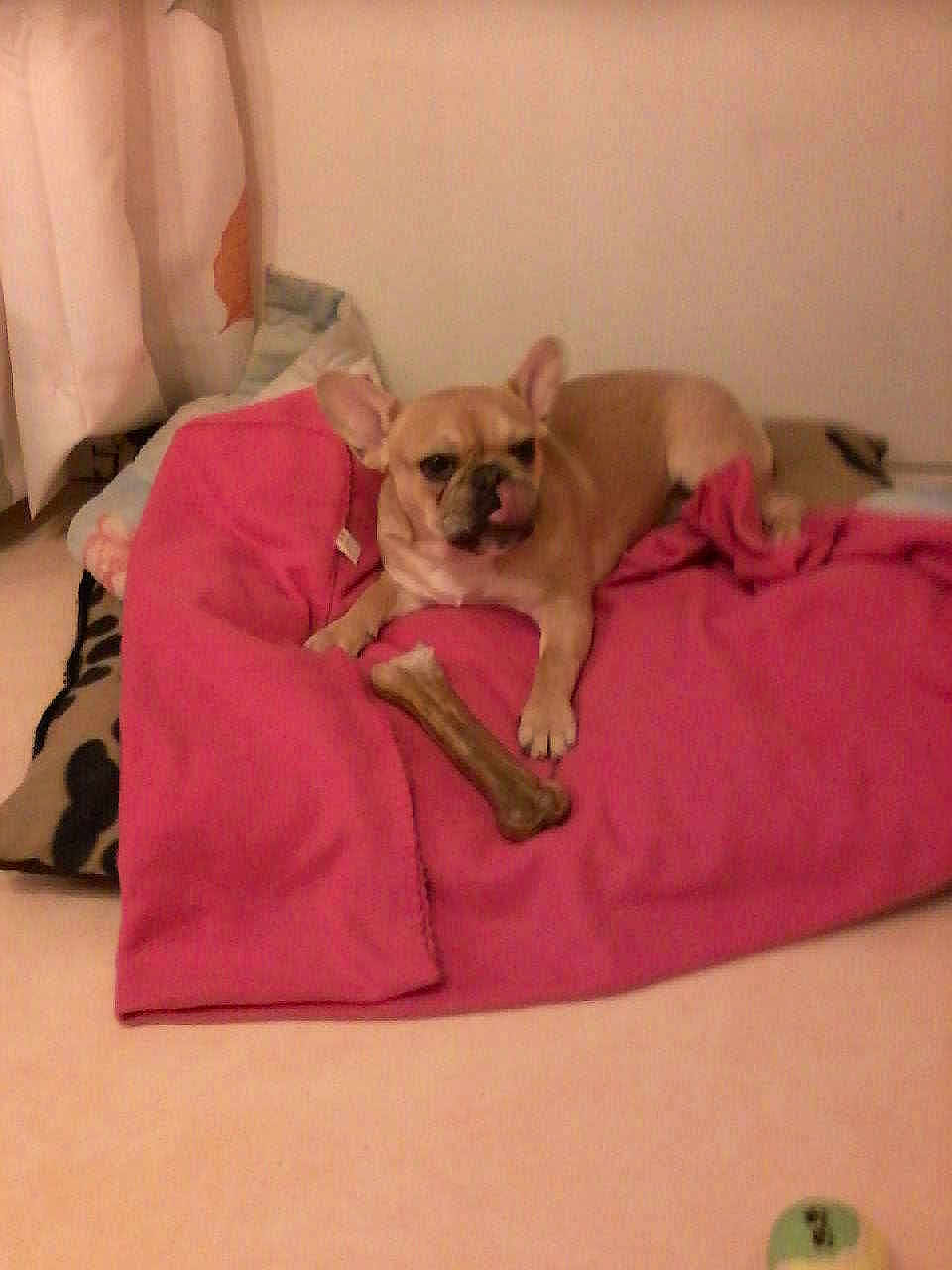 Roxane