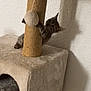 cat, kitten, cat_tree, toy, playing, furniture, indoor, pet, scratching_post, beige, wall, shadow, paw, claw, animal, cute, furry, small, home, fun