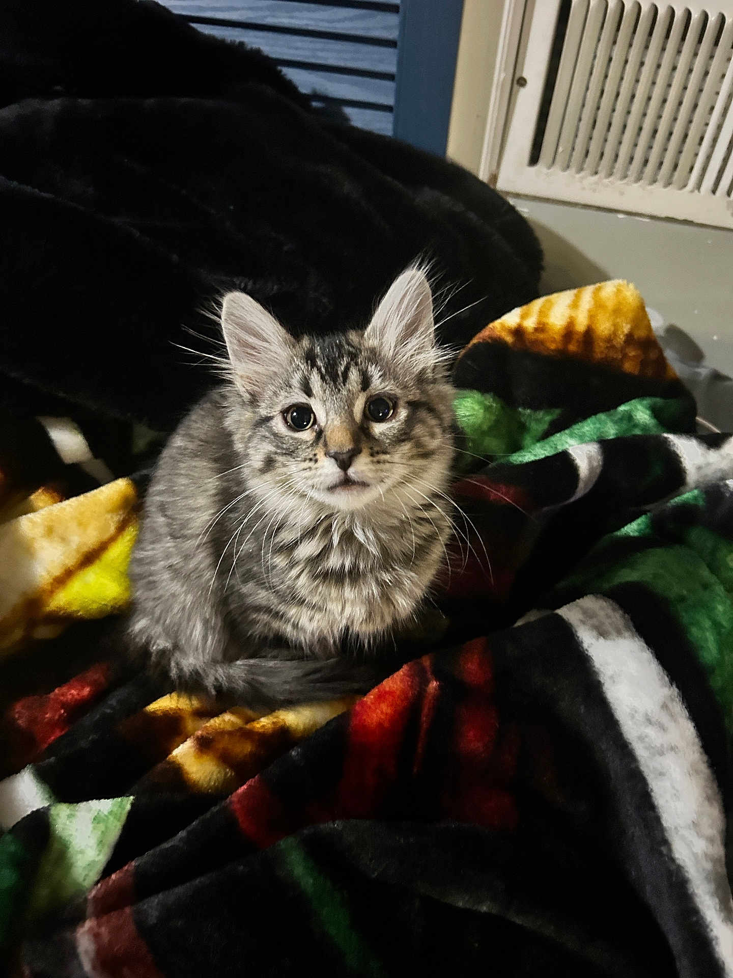 Nova