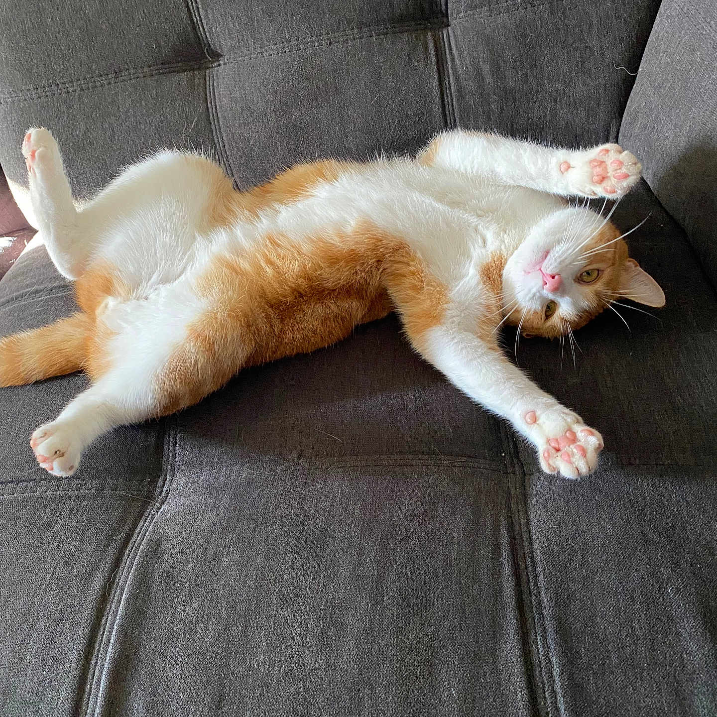 Mufasa