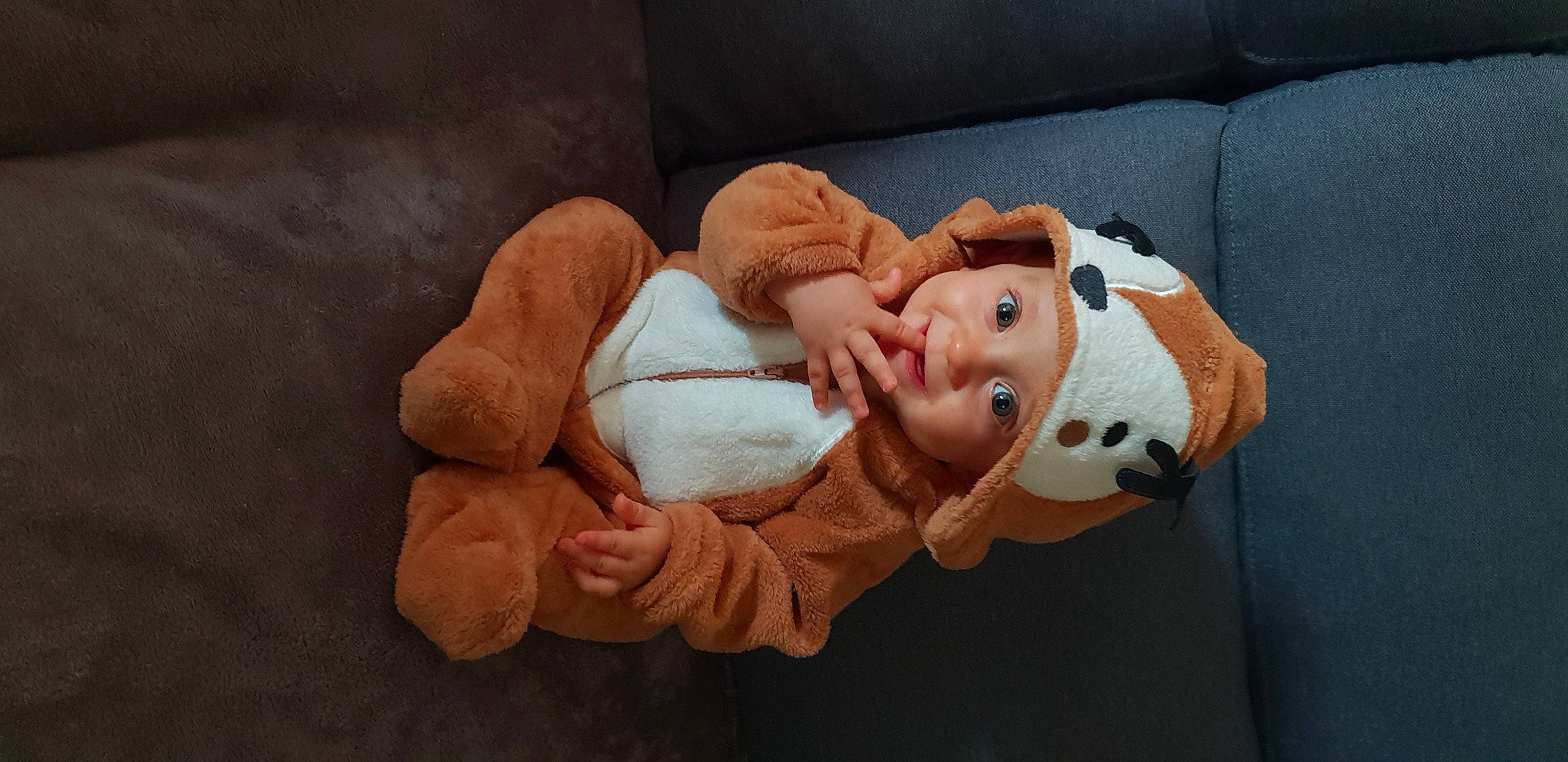 Owen participe au concours pour gagner de l'argent avec cette photo : baby, bedtime, cheek, child, headwear, nap, person, sleep, toddler