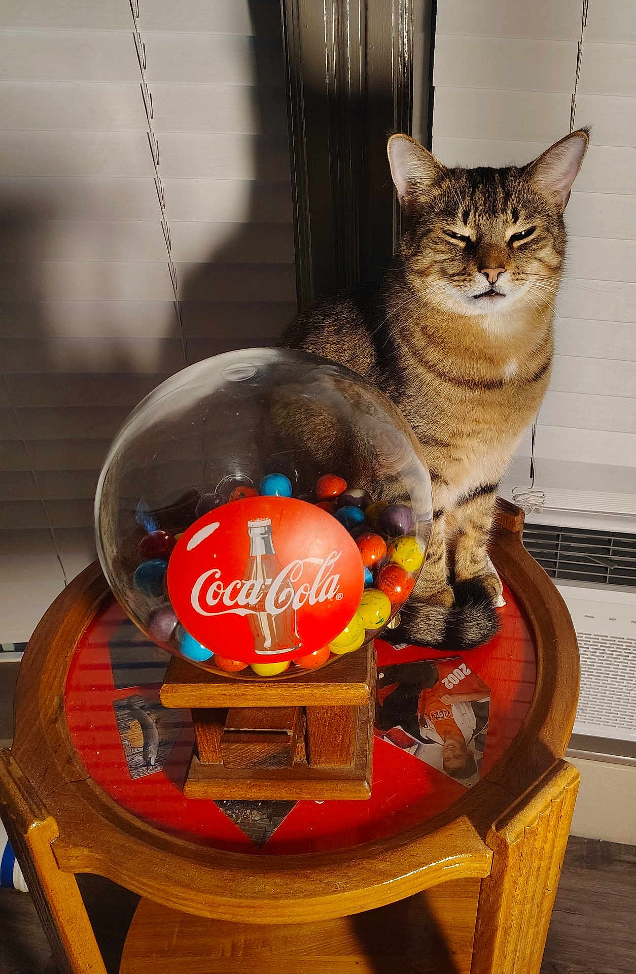Simon is registered to the contest to win money with this photo: cat, tabby_cat, gumball_machine, coca_cola, table, wooden_table, colorful_gumballs, indoor, window_blinds, shadow, pet, feline, domestic_animal, close_up, household, nostalgic, vintage, warm_lighting, cozy, still_life
