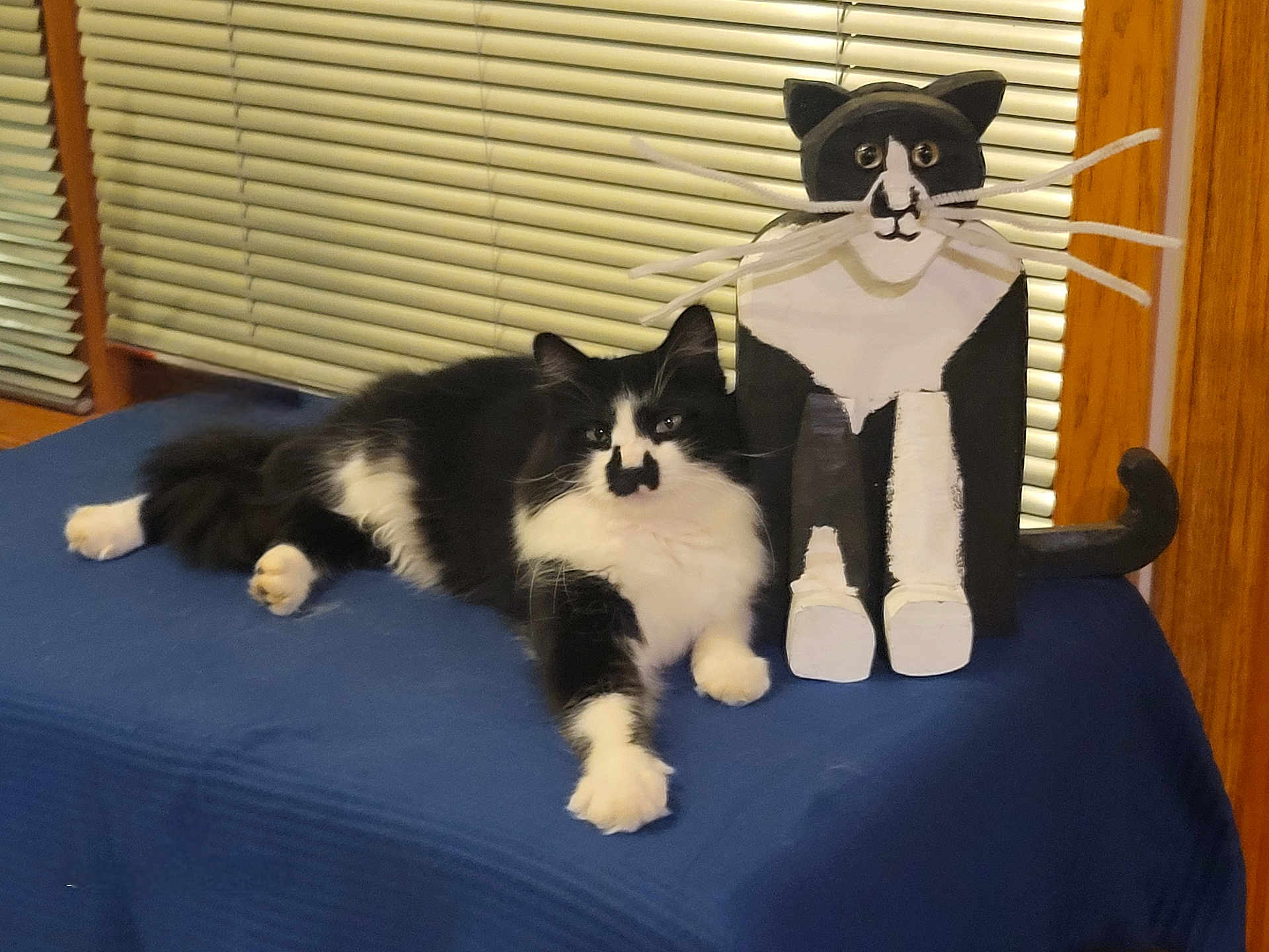 Oreo