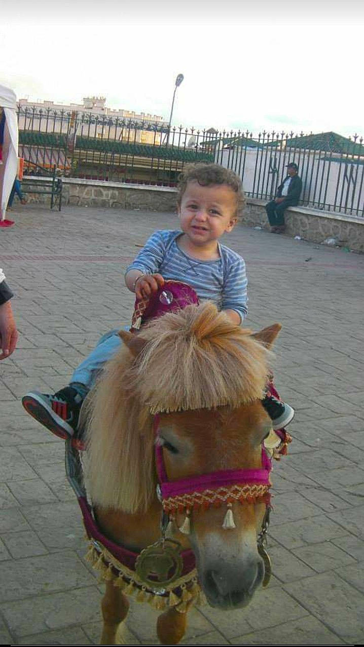 Ilyès participe au concours pour gagner de l'argent avec cette photo : bridle, child, event, fence, fun, horse, horse_supplies, horse_tack, leisure, livestock, mane, mare, pack_animal, person, recreation, rein, sky, smile, toddler, vacation