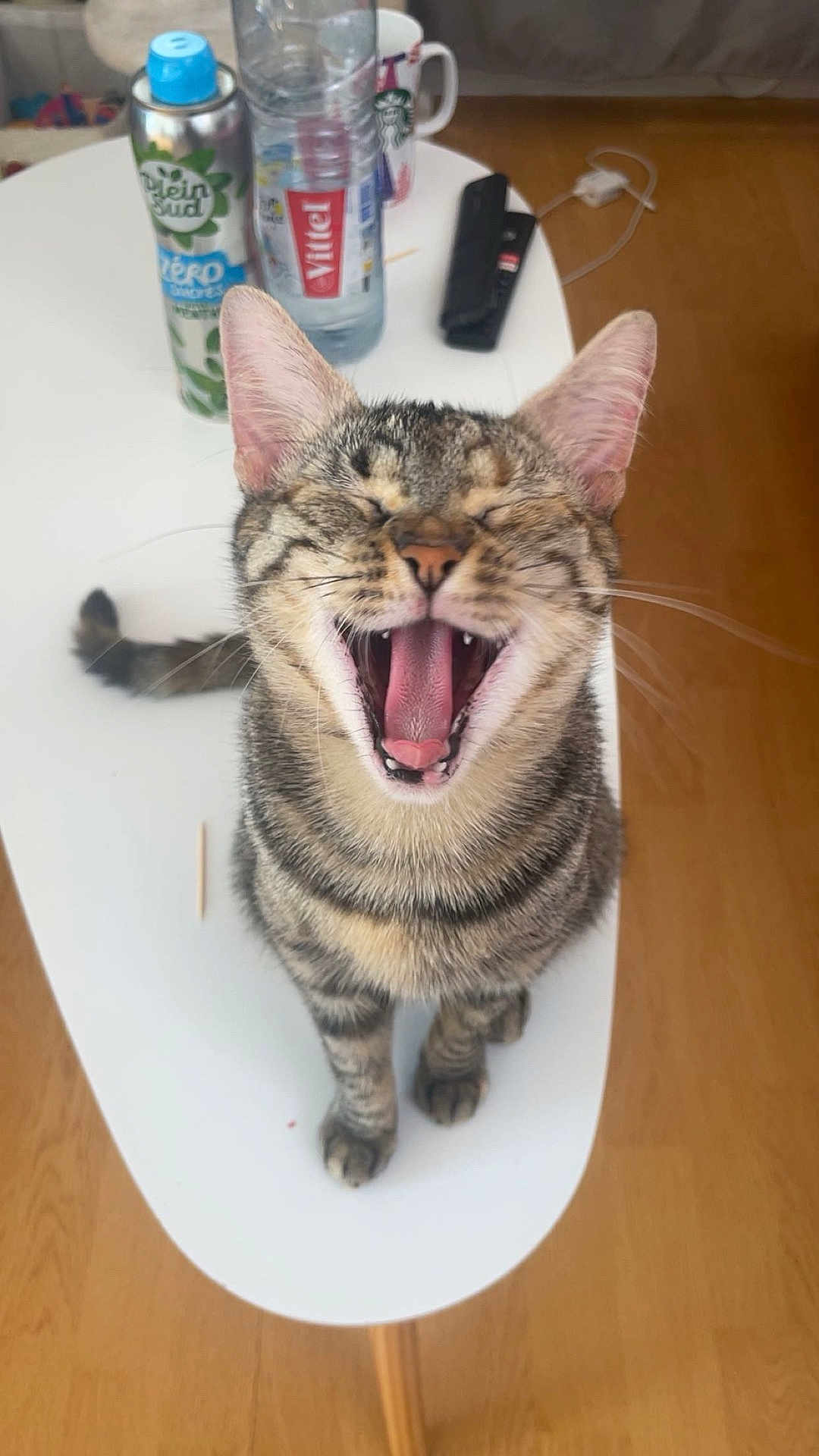 Kiara