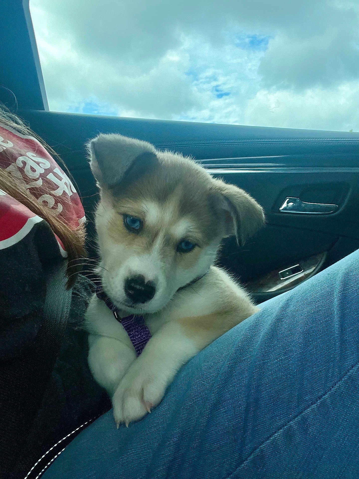 Loki