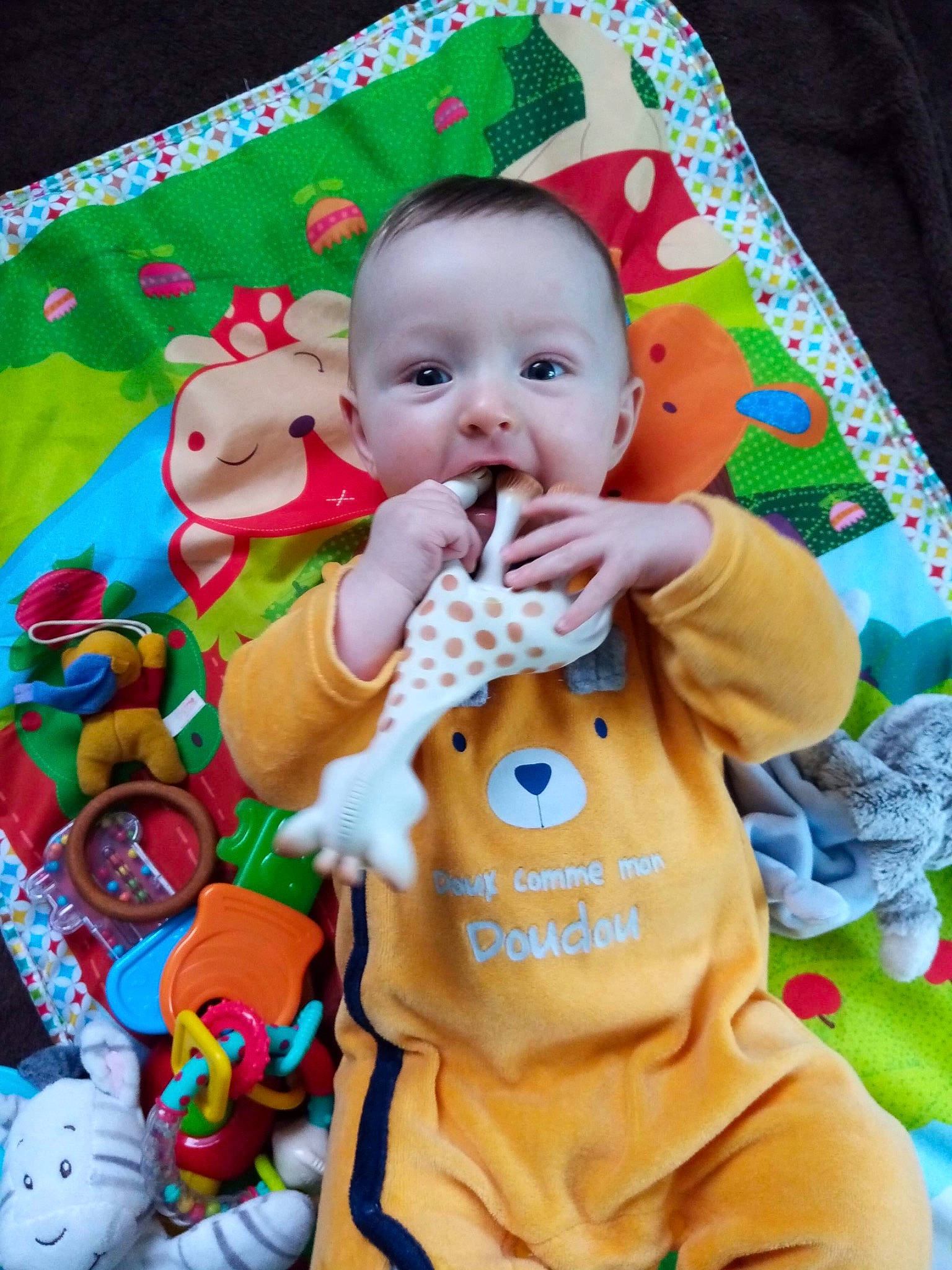 Thyméo a rejoint le concours — aidez-le/la à gagner de superbes lots ! baby, baby_products, baby_toddler_clothing, cheek, child, event, fun, green, happy, head, orange, person, pink, skin, sleeve, smile, stuffed_toy, textile, toddler, toy