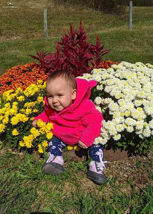 Alivia joined the competition — help win amazing prizes! botany, child, flower, garden, grass, joy, perennial_plant, person, plant, shrub, spring, toddler