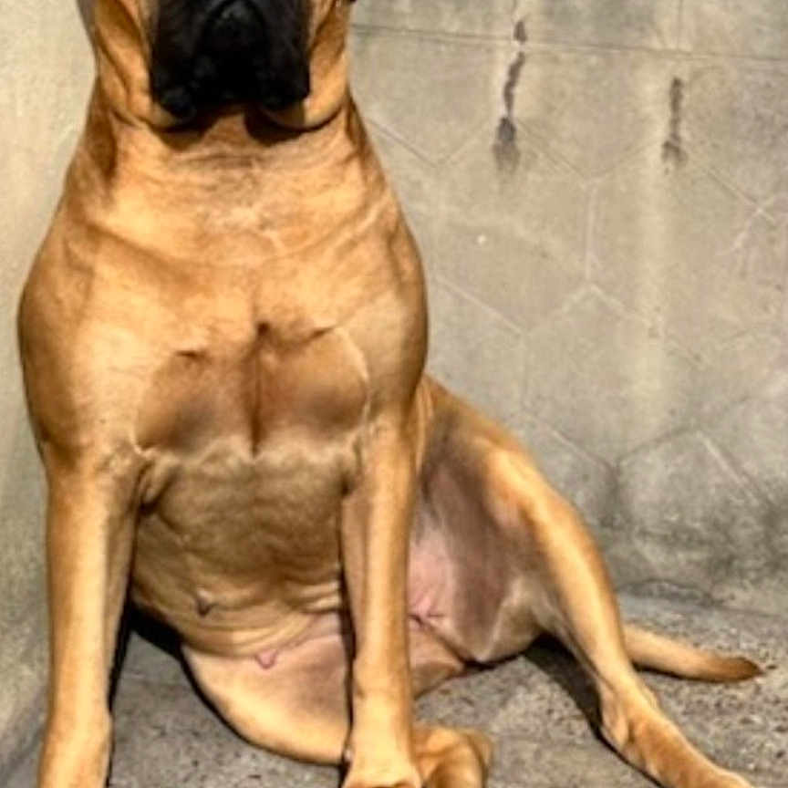 Tara