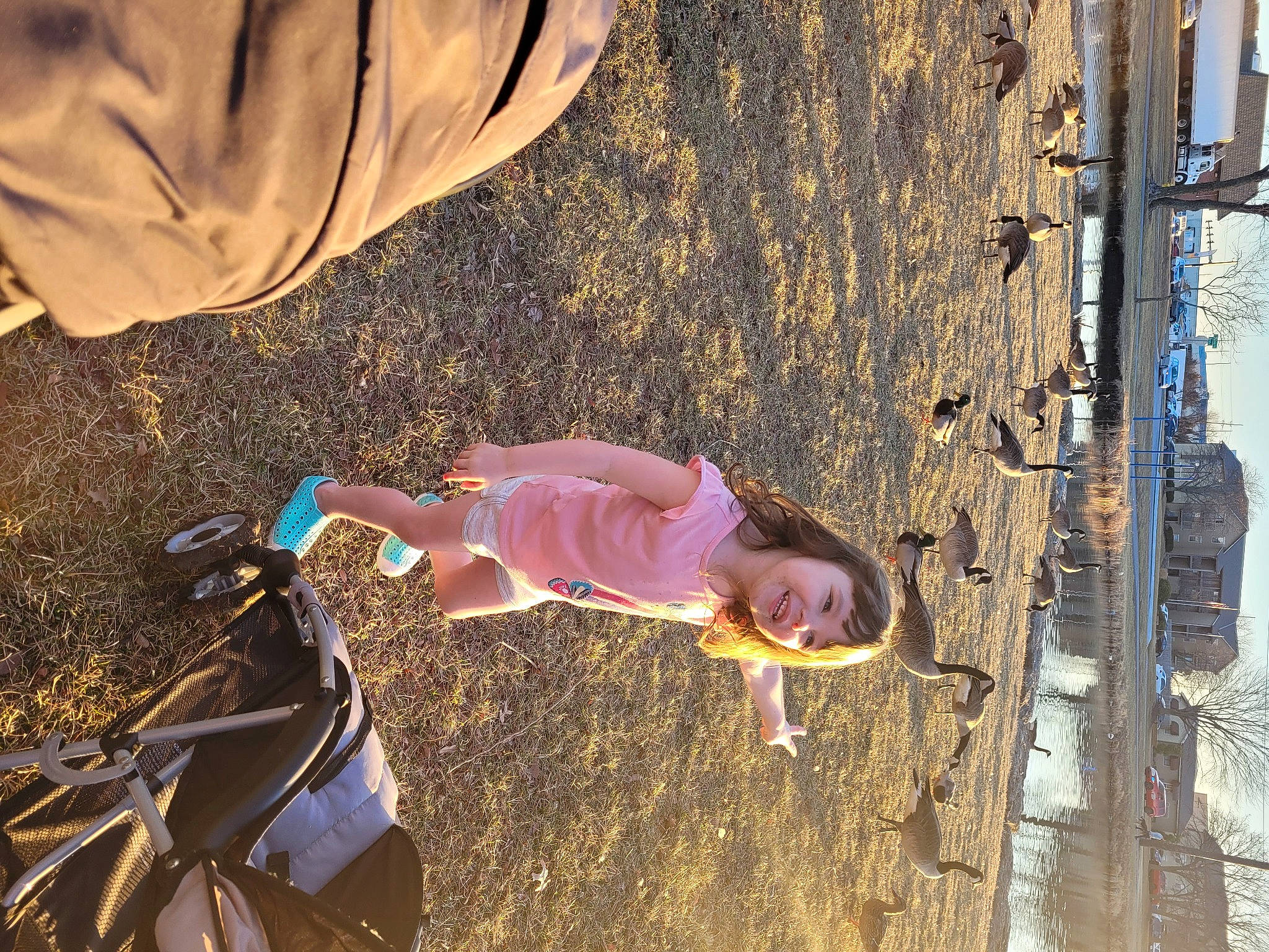 Faylen joined the competition — help win amazing prizes! adventure, fun, grass, human_leg, joy, landscape, leisure, people_in_nature, person, play, recreation, sand, shadow, soil, sunlight, t_shirt, tints_and_shades, tire, toddler, tree