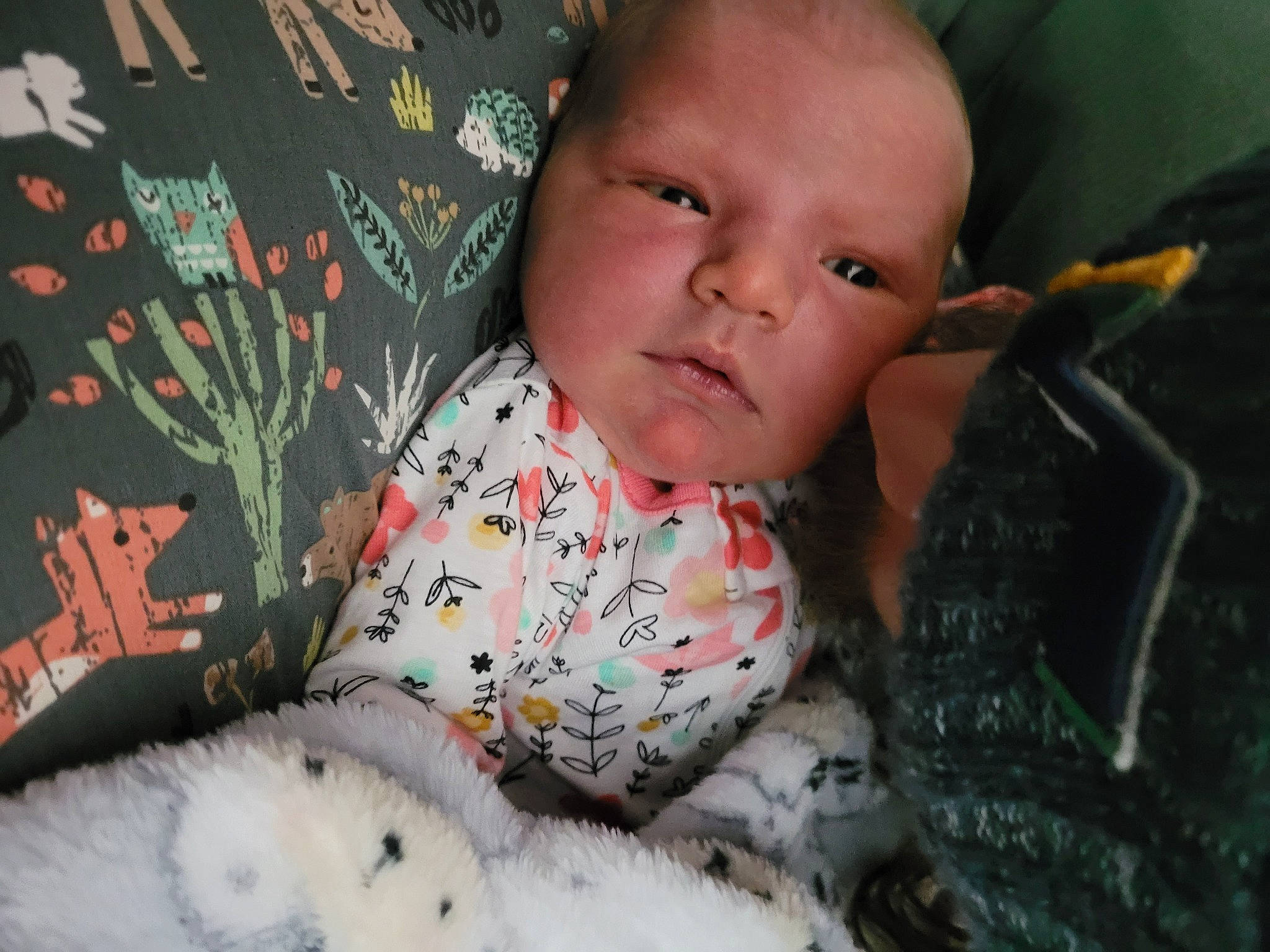 Rynlee joined the competition — help win amazing prizes! baby, baby_toddler_clothing, bedding, child, comfort, fur, happy, holiday, iris, linens, lip, mammal, nose, pattern, person, room, sitting, skin, textile, toddler