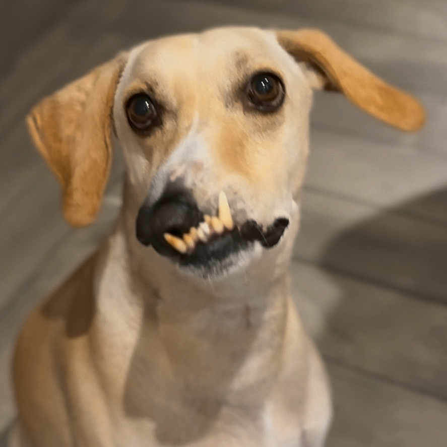 Alan