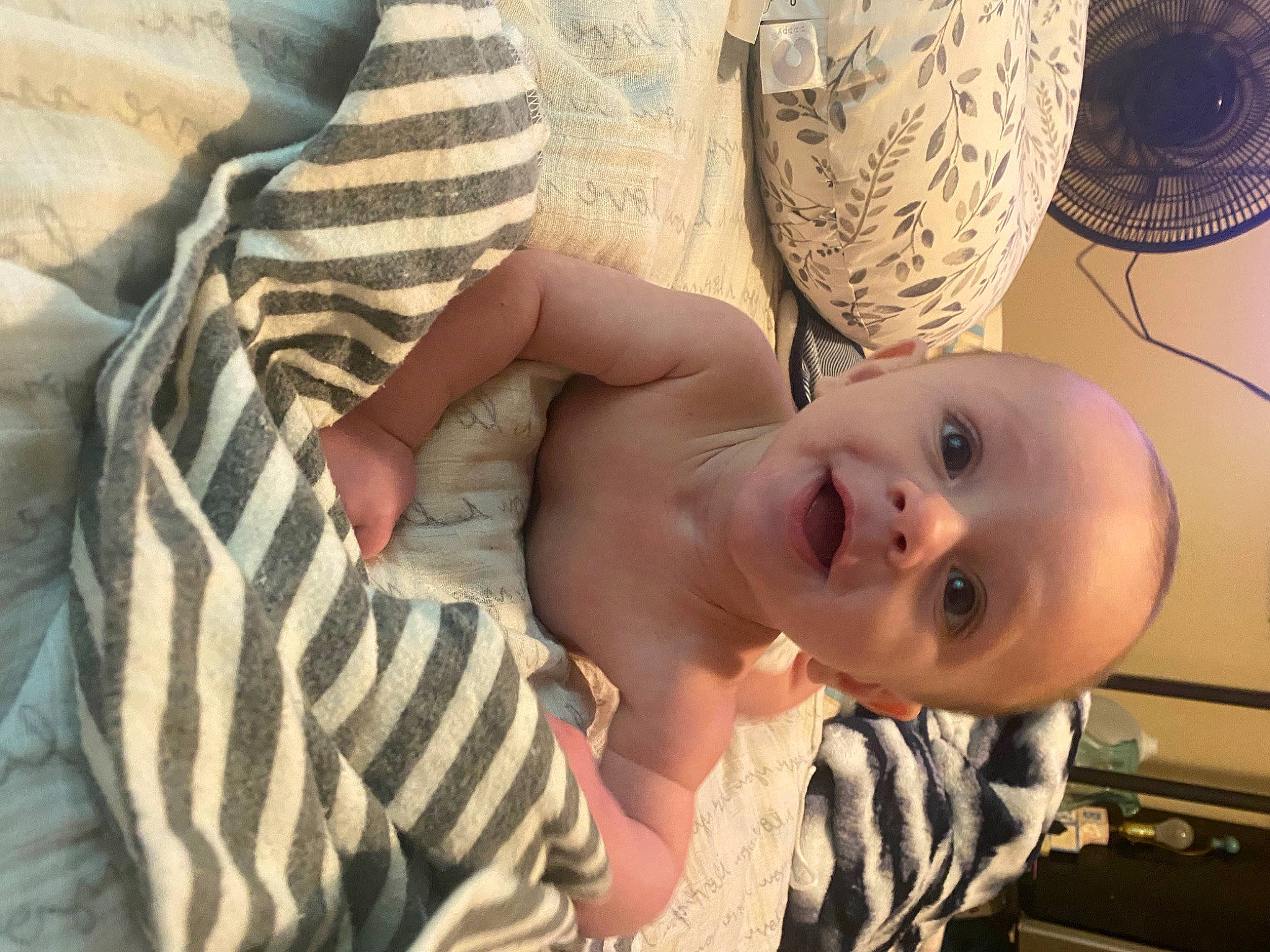 Dakota joined the competition — help win amazing prizes! baby, baby_toddler_clothing, cheek, chest, child, comfort, eye, fun, happy, head, human, human_body, iris, nose, person, skin, smile, thumb, toddler, tree